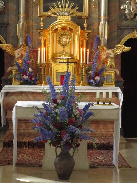 Foto: Marianne Töglhofer                            