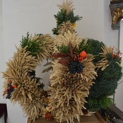 Die Erntekrone wurde gebunden von: Emma Fassolter, Tanja Fassolter, Steffi Fruhwirth, Christa Holzapfel, Gerlinde Krenn, Lena Krenn, Manuela May, Berta Regier, Petra Rieger, Kathrin Schlatzer