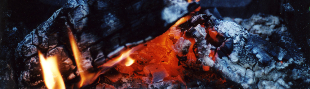 Foto: Marianne Töglhofer