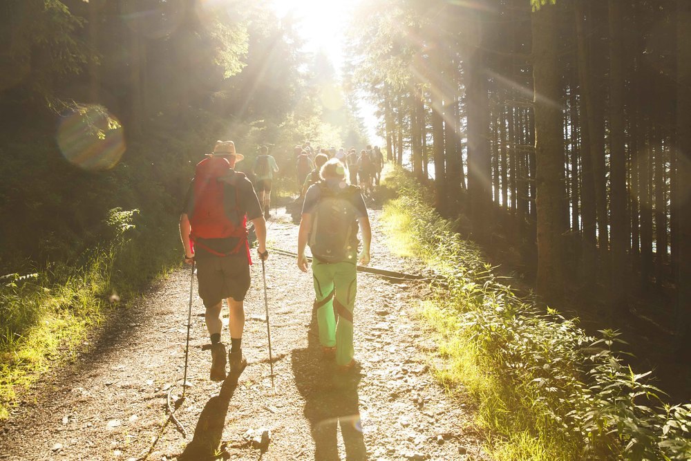 In der Steiermark ist vor allem Mariazell ein beliebtes Pilgerziel. In den letzten Jahren wird auch das 'Pilgern rund um Mariatrost' immer beliebter.